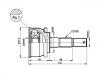 CV Joint Kit:39100-01B02